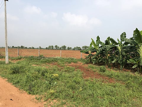 songir gram panchayat