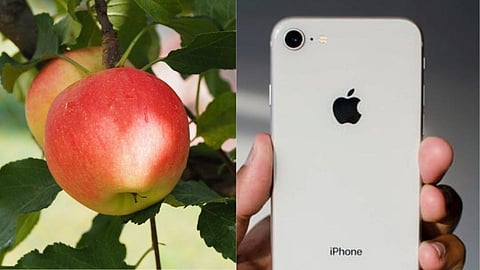 Apple mobile