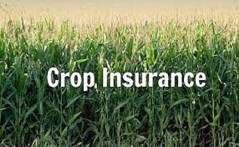 crop insurance plan