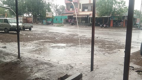 rain adul