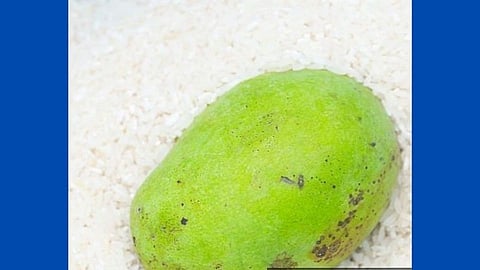 कच्च्या आंब्याला घरातच अशा पद्धतीने पिकवा बाजारातील आंब्या पेक्षाही अधिक स्वादिष्ट