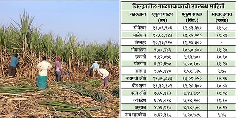 Sugarcane