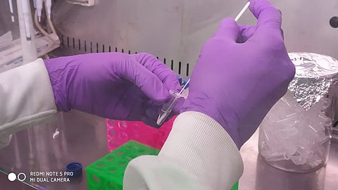 RT-PCR चाचणीचा वेळ आणि खर्च अर्ध्यावर आणणारे ‘ड्राय स्वॅब’ तंत्रज्ञान; CSIR चं संशोधन