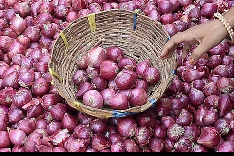 onion