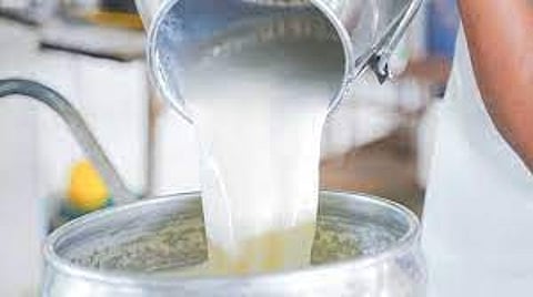 Milk
