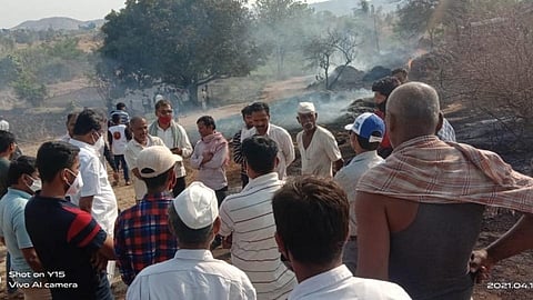 दुर्दैव! सलग दुसऱ्या वर्षी जनावरांवर काळाचा घाला, रेठरे धरण येथील घटना