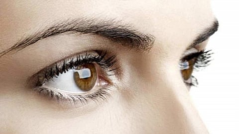 eyes