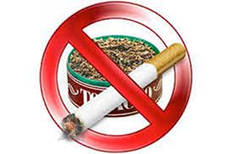tobacco free school