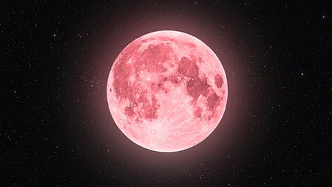 pink moon