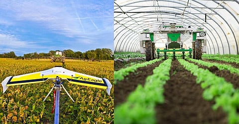 agricultural robot for cotton