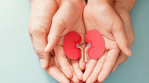 organ donation gives new life two women received kidney liver two got vision