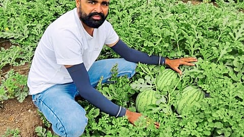 Farmer