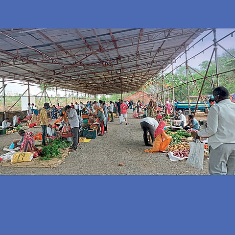 Vegetable Market