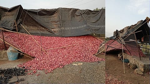 farmer onion