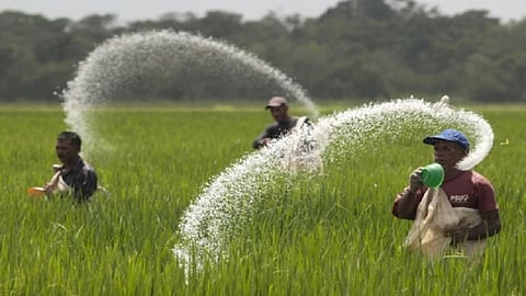 fertilizers