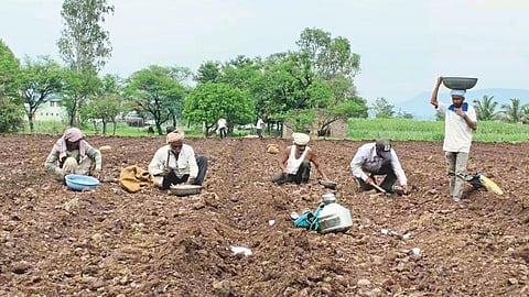 Farmer