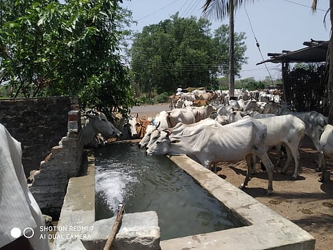 अप्पारावपेठ किनवट