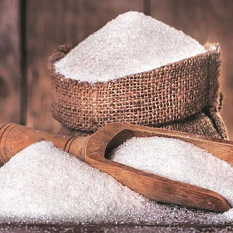 Sugar