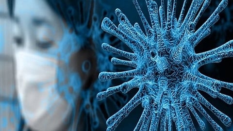 Mucormaycosis