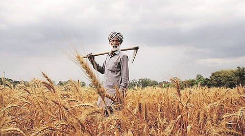 farmer