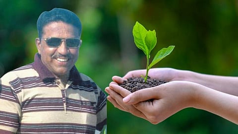 Friendship Tree