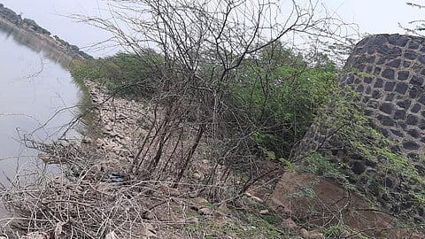 Halchincholi