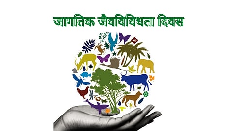 biodiversity day