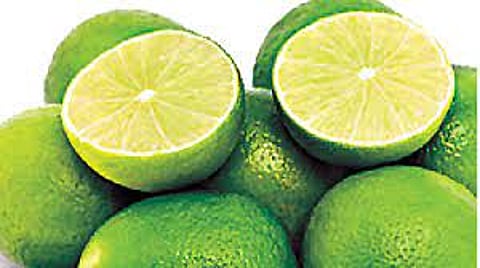 Lemon