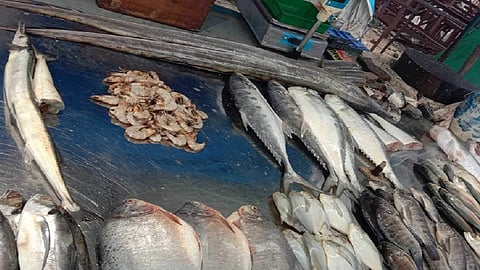 fish market