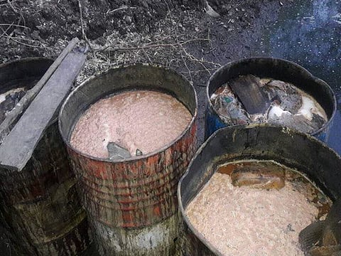 रोज एक कप गावठी दारू, कोरोना छूमंतर! चक्क गावातील महिला करताहेत दावा