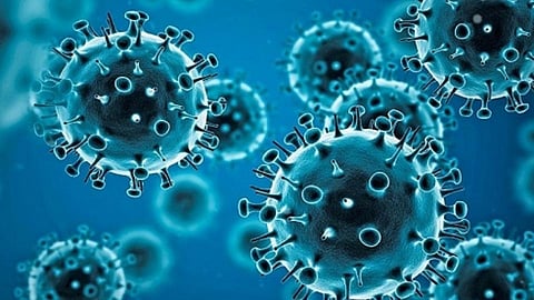Coronavirus