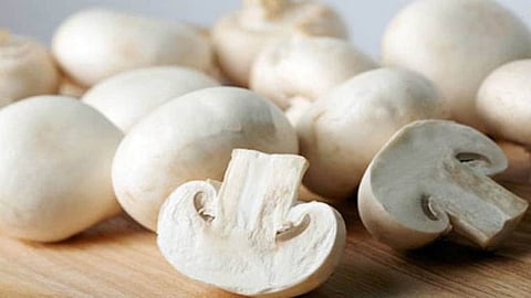 mushroom