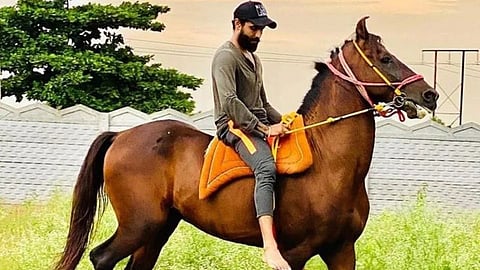 ravindra jadeja