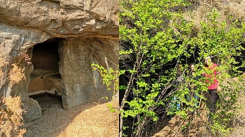 caves nashik
