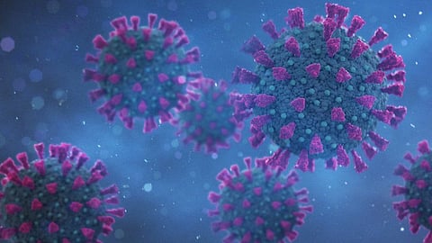 Indian Coronavirus Variant