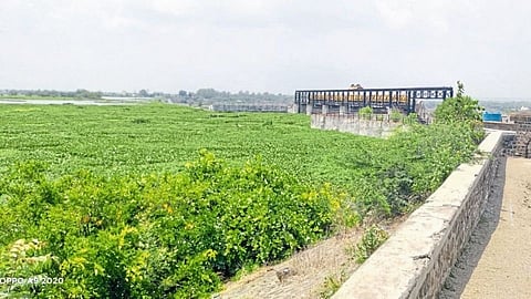 Godavari River