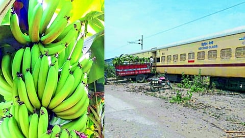 banana wagons