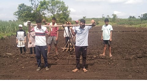 रोहिणीचा पेरा अन् मोत्याच्या तुऱ्यासाठी शेतकऱ्यांची धांदल