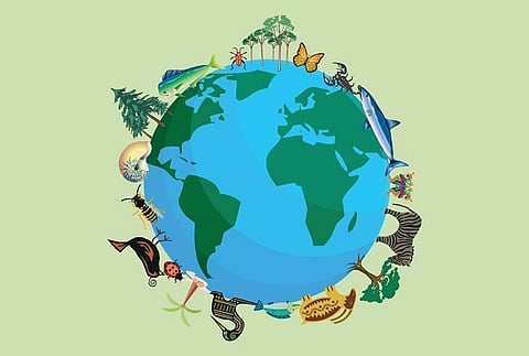 biodiversity day