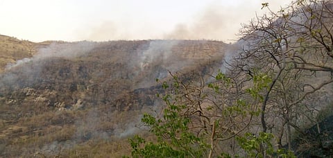 ajintha