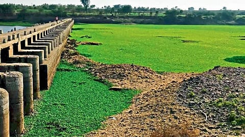 Ujani Dam