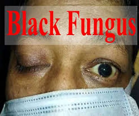 black fungus