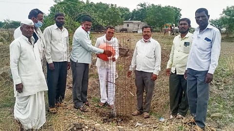 Gramsevak