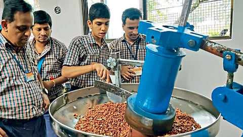 Peanuts Oil