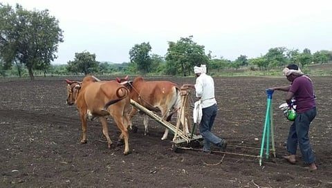 लोहा तालुक्यातील जोमेगाव शिवारात पेरणी सुरु