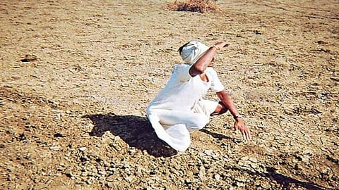 farmer