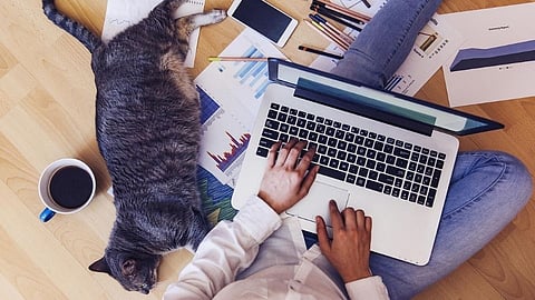 Work from home