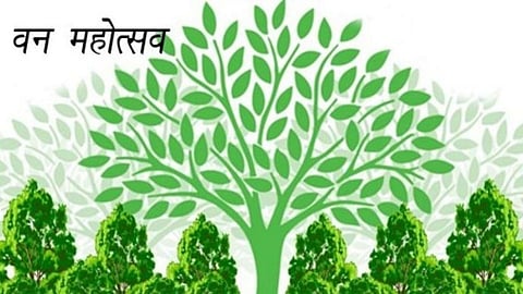 international-environment-day