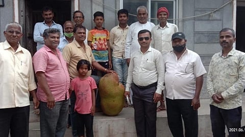 तब्बल 55 किलोचा फणस; सासऱ्याकडून
लाडक्या जावयांना भेट
