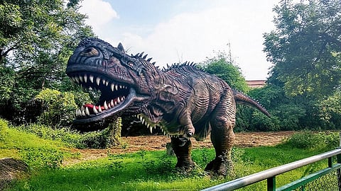 dinosaur-fossil-park-in-gujrat